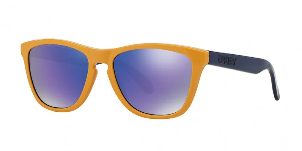 Oakley Frogskins 9013 Sunglasses - Crystal Clear - view 10
